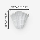 Minimalist Coastal Plaster Shell Wall Sconce