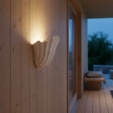 Minimalist Coastal Plaster Shell Wall Sconce