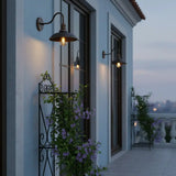 Vintage Gooseneck Outdoor Metal Wall Light